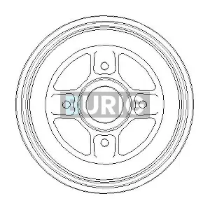 B040066 Burig