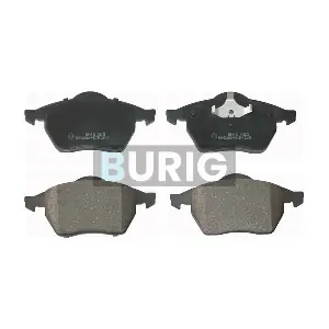 B020286 Burig