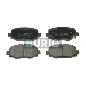 B020505 Burig