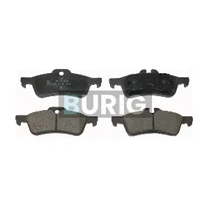 B020067 Burig