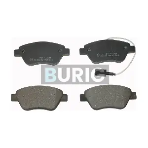 B020089 Burig