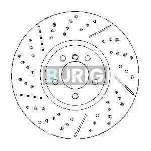 B011310 Burig