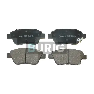 B020472 Burig