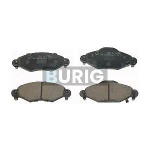 B020225 Burig