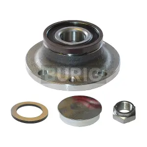 B100017 Burig