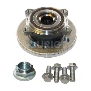 B100035 Burig
