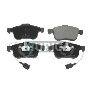 B020625 Burig