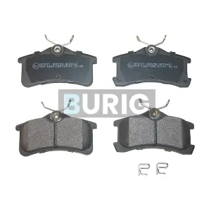 B020630 Burig