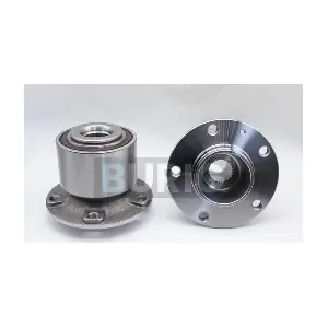 B100319 Burig