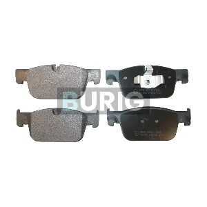 B020616 Burig