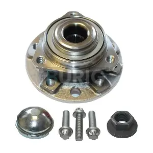 B100275 Burig