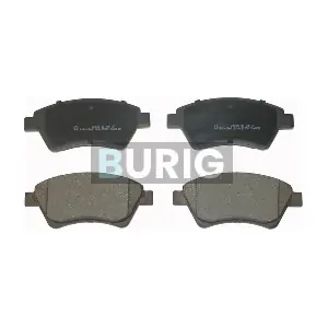 B020091 Burig