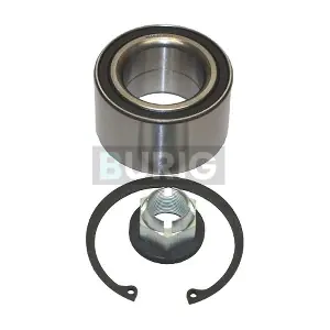 B100065 Burig