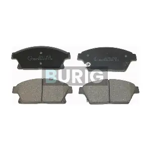 B020040 Burig