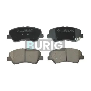 B020315 Burig