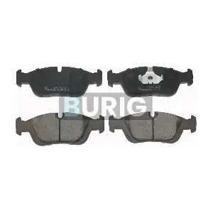 B020385 Burig