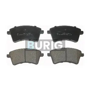 B020118 Burig