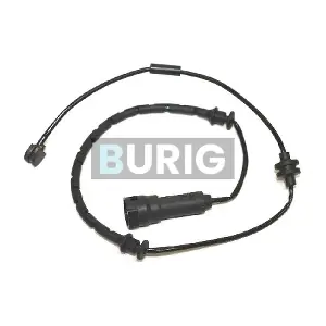 B070113 Burig