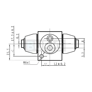 B090005 Burig