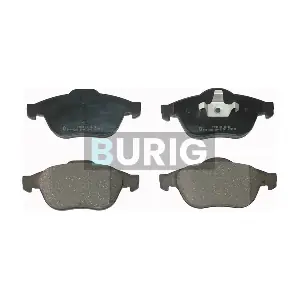 B020237 Burig