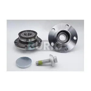 B100553 Burig