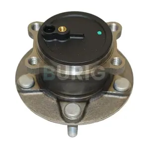 B100296 Burig