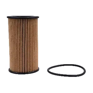 LR073669 JAPOCAT