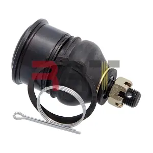 RHD-260038 RRT