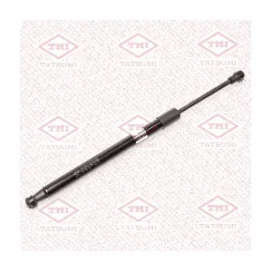 TAF1187 TATSUMI