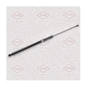 TAF1012 TATSUMI