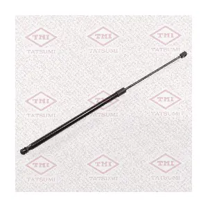 TAF1178 TATSUMI