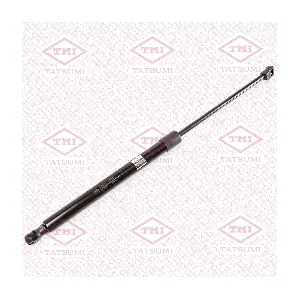 TAF1134 TATSUMI