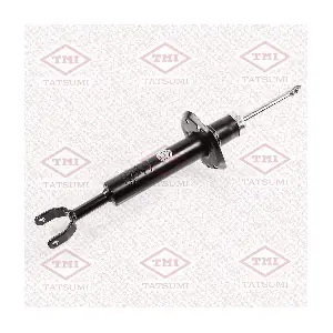 TAA1039 TATSUMI