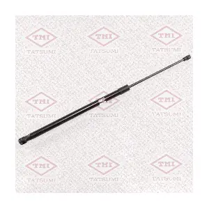 TAF1115 TATSUMI