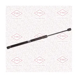 TAF1226 TATSUMI