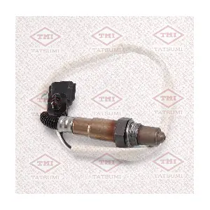 THL0029 TATSUMI