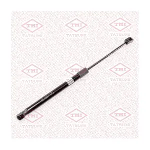 TAF1118 TATSUMI