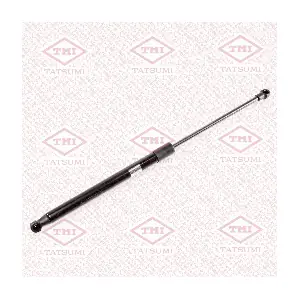 TAF1193 TATSUMI
