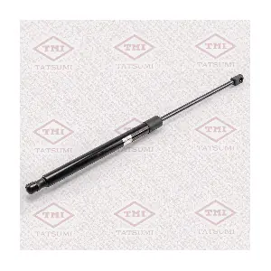 TAF1038 TATSUMI
