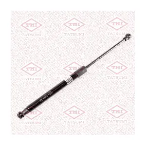 TAF1195 TATSUMI