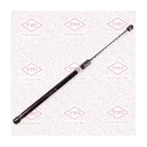 TAF1192 TATSUMI