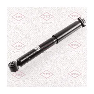 TAA5076 TATSUMI
