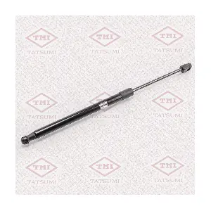 TAF1024 TATSUMI