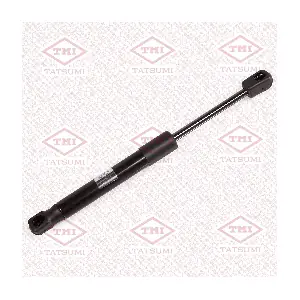TAF1230 TATSUMI