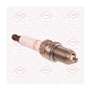 THS1013 TATSUMI
