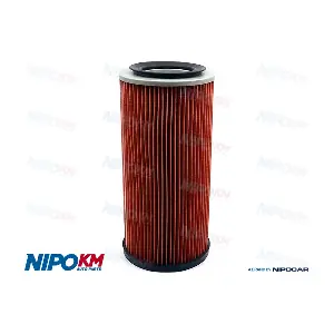 FIA.DS401 NipoKM