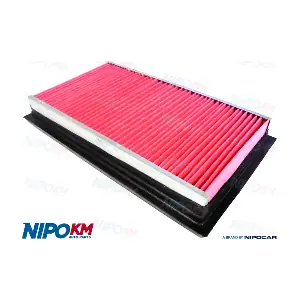FIA.DS466 NipoKM