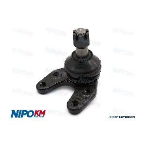 RTT.MZ0017S NipoKM