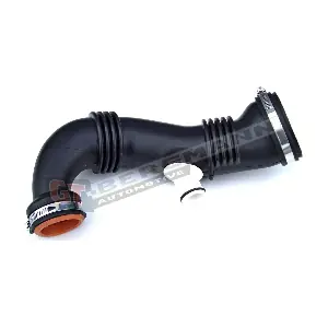 GT52-017 GT-BERGMANN