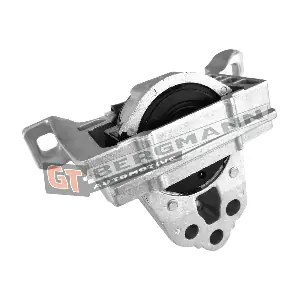 GT25-039 GT-BERGMANN